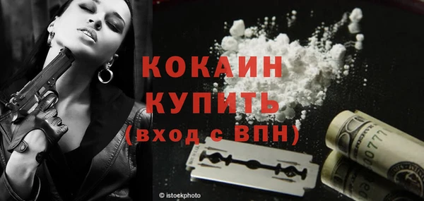 шишки Абинск