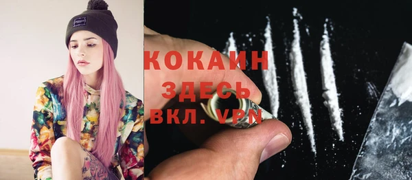 шишки Абинск
