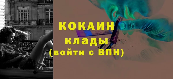 шишки Абинск