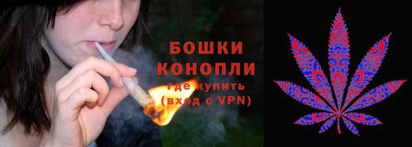 шишки Абинск