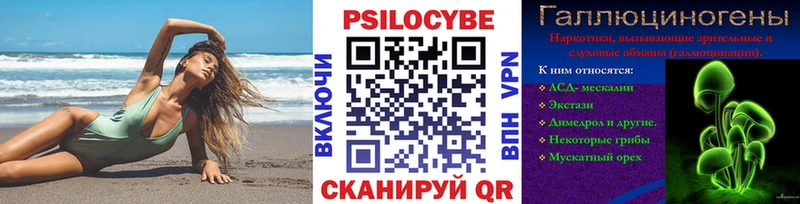 где найти наркотики  Нижнекамск  Псилоцибиновые грибы Magic Shrooms 